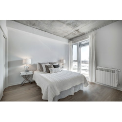 Ambientación Pasillo Radiador Aluminio COINTRA ORION HP 600