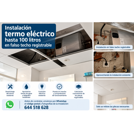 sustituir termo eléctrico hasta 100 litros en falso techo registrable