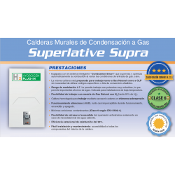 prestaciones calentador superlative supra cointra 34