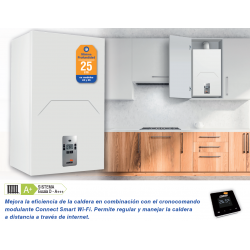 mueble de cocina caldera gas Cointra 34