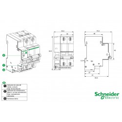 medidas cuadro Sobretensiones Permanente y Transitórias Monofásico 40A Schneider