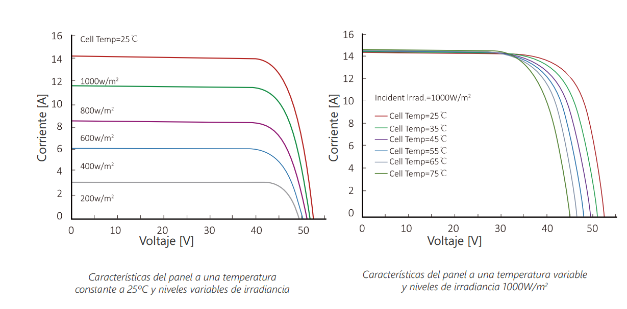 Gráfica de temperatura del Panel Solar Fotovoltaico JOHNSON JSUN N-TYPE BIFACIAL JSUN590B